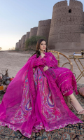 charizma-dasht-lawn-v1-2023-14