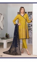 riaz-arts-intenso-broshia-banarsi-lawn-2020-8