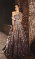 maxi-gown-for-jan-2025-3