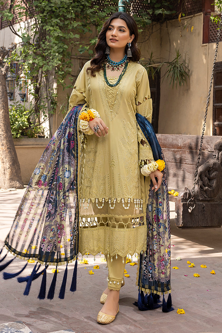 Tehzeeb Chikankari Eid Festive Lawn Collection 2022 Shop Online | Buy ...